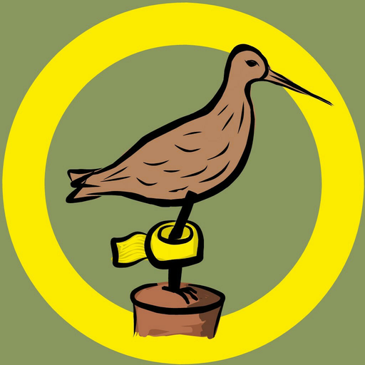 BirdRing app icon