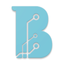 B.R.A.IN. - Sisgeo icon
