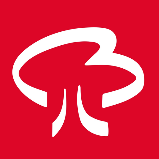 Blekingetrafiken app icon