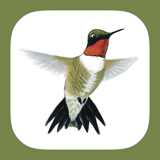 Sibley Guide to Hummingbirds app icon