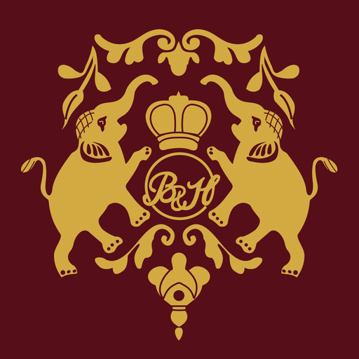 Bid & Hammer app icon