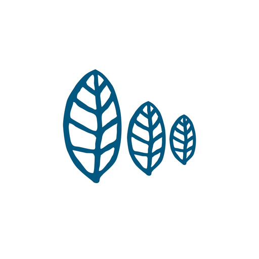 Healoonow app icon