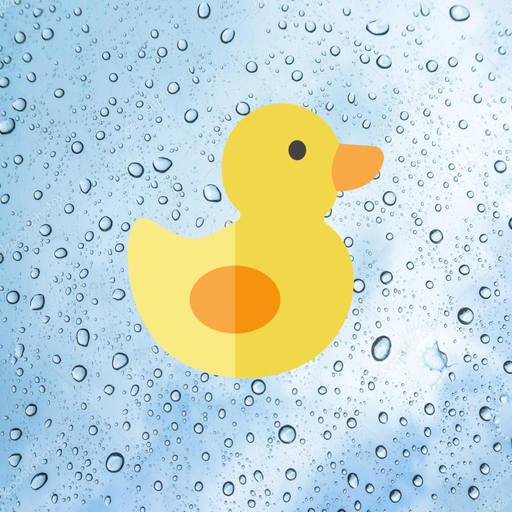 Duckworth Lewis Standard app icon