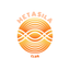 METASILA club icon