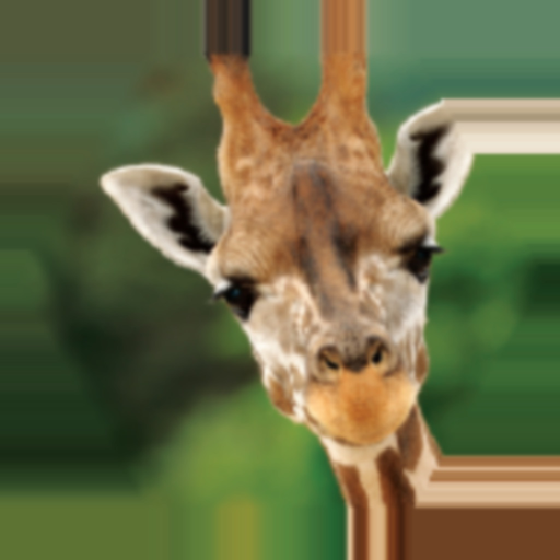 Animals of Africa app icon