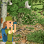 Forêt écosystème icon