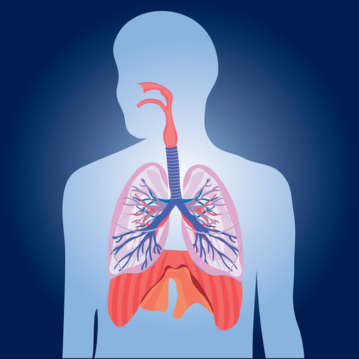 Respiratory System Quizzes app icon