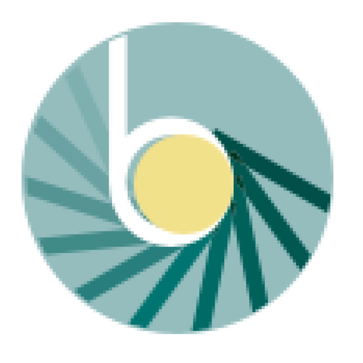 BrandPoint Field App app icon