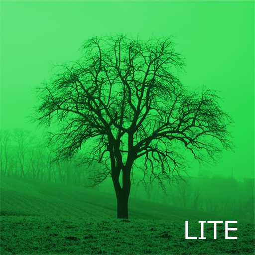 Deciduous Trees 2.0 app icon