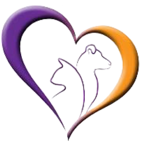 VCPI app icon