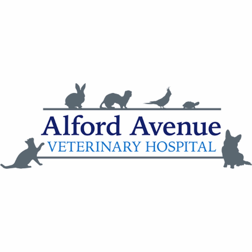 Alford Avenue Vet app icon