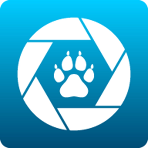 Maginon WildlifeCam Wifi app icon