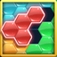 Hexa Block Tangram Puzzle icon