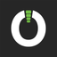PayOn icon