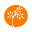 Fundación Sophia icon