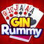 Gin Rummy: Ultimate Card Game icon