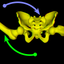 HarnessARapp icon