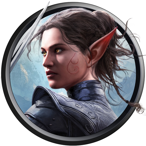 Divinity: Original Sin 2 app icon
