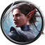 Divinity: Original Sin 2 icon