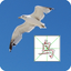 Write Chinese KnowleMedia icon