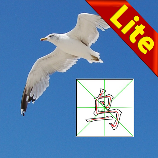 Write Chinese Lite KnowleMedia app icon