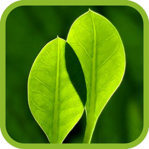 Robot Mower app icon