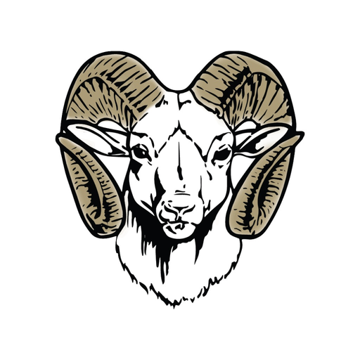 USD 384 Blue Valley-Randolph app icon