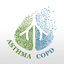 Asthma COPD 2019 icon