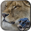 Hidden Object Safari - Animals icon
