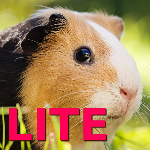 Guinea Pig Jigsaw Puzzle Games app icon