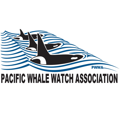 PWWA app icon