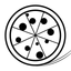 Wheelz Pizza icon
