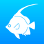Fishes of the Maldives icon