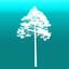 Arboreal Tree icon