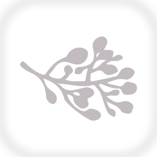 Mäcorina repostería app icon