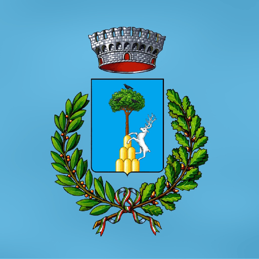MyAviatico app icon