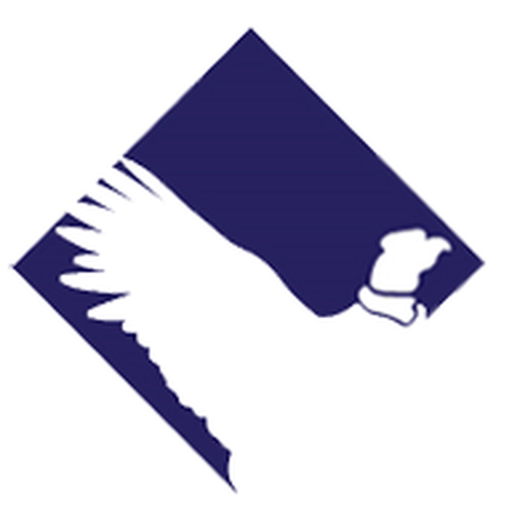 Condor Sky app icon