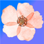FlowerWhat icon