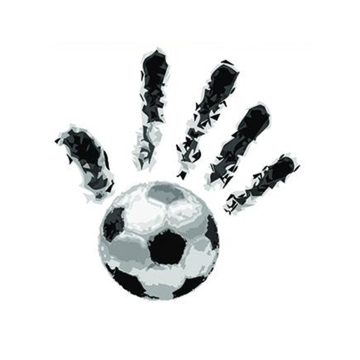 Fondazione Cannavaro Ferrara app icon