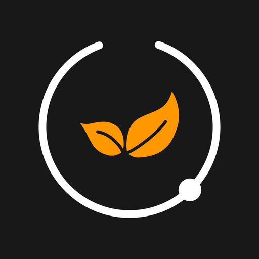 Stone Connect WiFi app icon