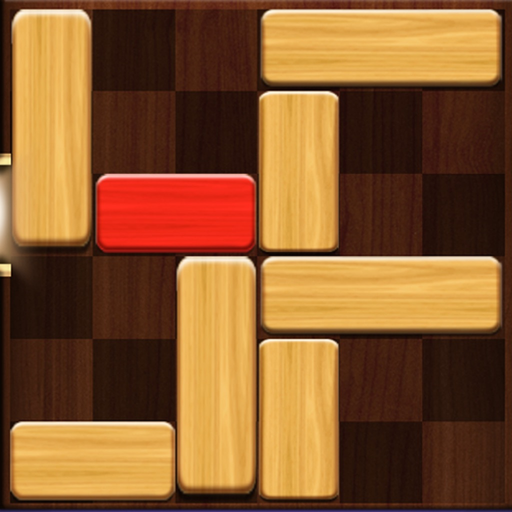 Unblock Puzzle Pro app icon