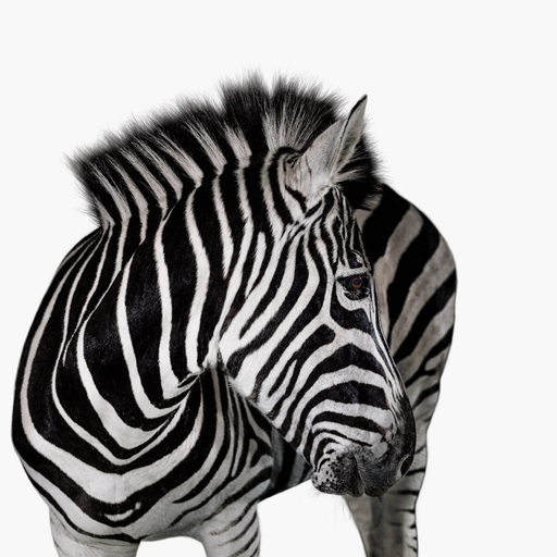 Investec Business Banking app icon