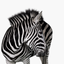 Investec Business Banking icon