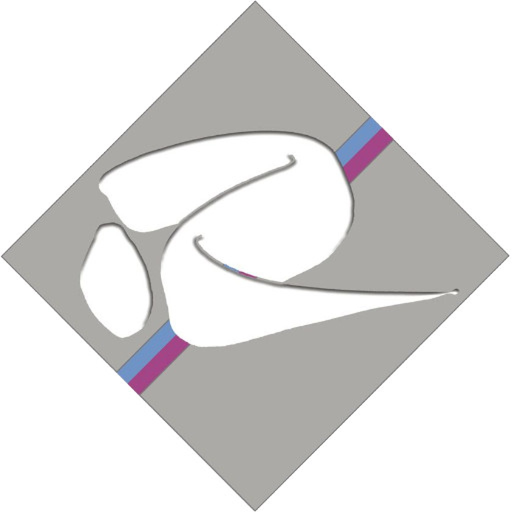 Labor Dr. Riegel app icon