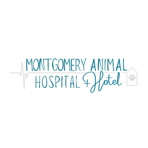 OtherFamilyDr app icon