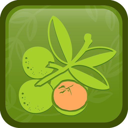 Huaya Mx app icon