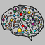 Emotional Brain Study icon