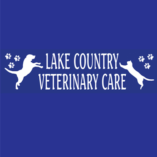 LCVC app icon