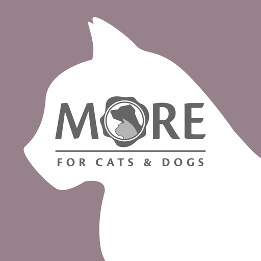 More FOR Mouse Racer app icon