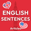 English articles in sentences icon